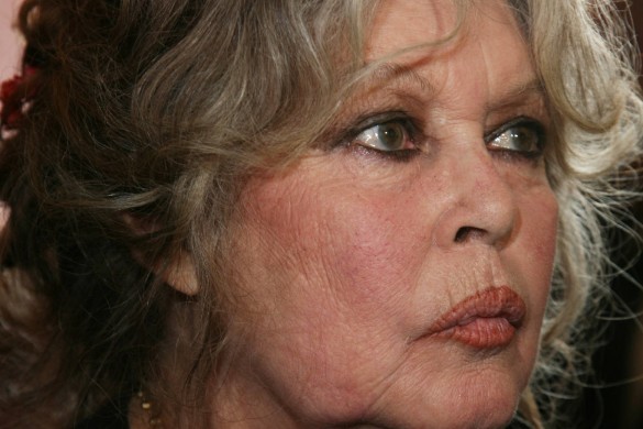 Brigitte Bardot « implore » François Hollande de gracier Jacqueline Sauvage