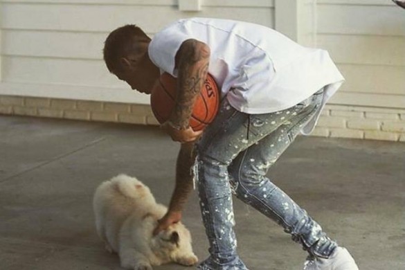 Craquant ! Le chien de Justin Bieber a désormais son propre compte Instagram (photos)