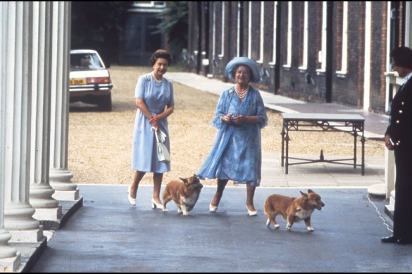 La reine Elizabeth désespérée par la mort de son chien Holly