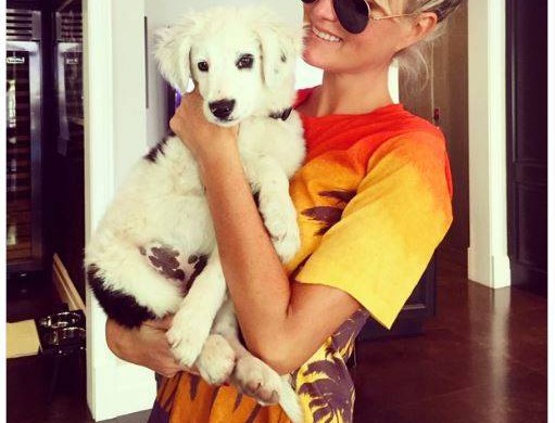 Laeticia Hallyday adore la chienne adoptée par Johnny