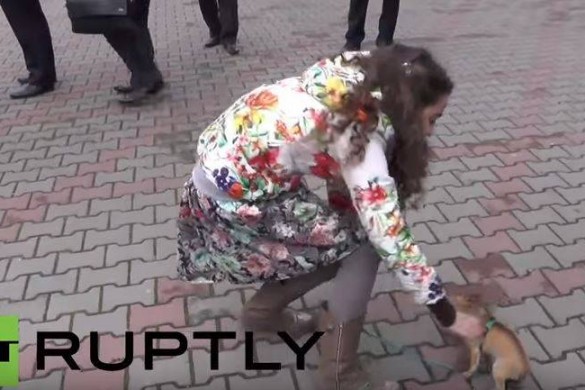 Une jeune fille reçoit un chihuahua de la part de Vladimir Poutine