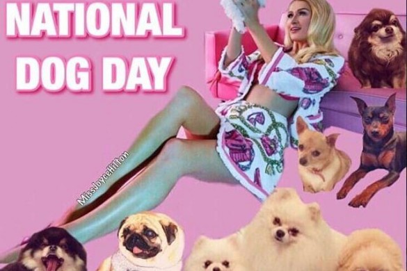 National Dog Day : les people sont fans de leurs chiens ! (photos)