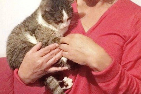 « J’ai retrouvé mon chat un vendredi 13, plus de 16 ans après sa disparition ! »