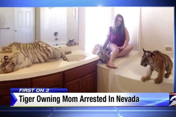 Accusée de mettre sa fille en danger, elle vivait avec des tigres, un couguar et des singes