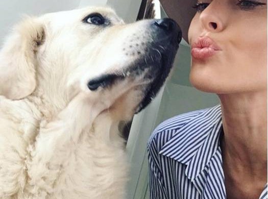 Caroline Receveur : son chien Island est une star sur Instagram (photos)