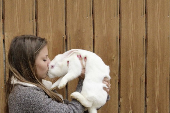 A 14 ans, Chloé a créé un refuge pour lapins